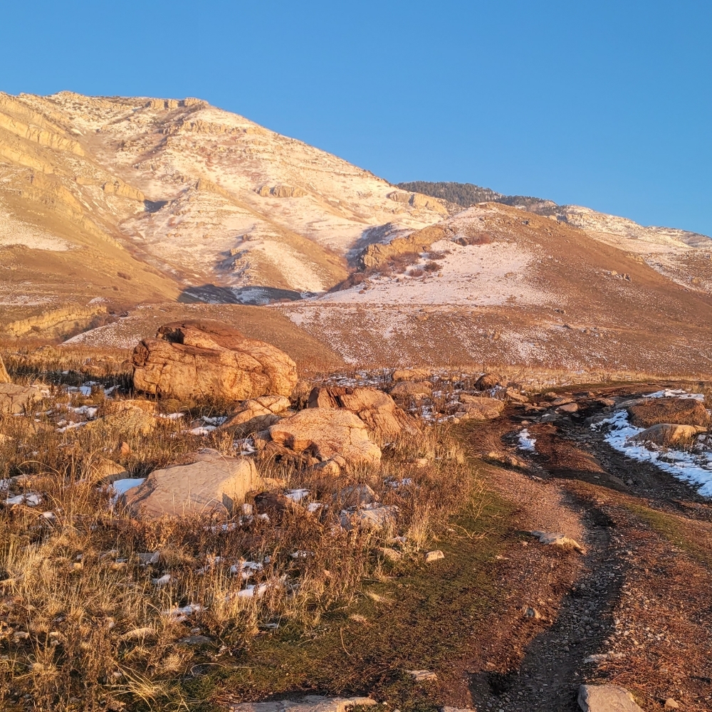 Meet your Posher, Brett